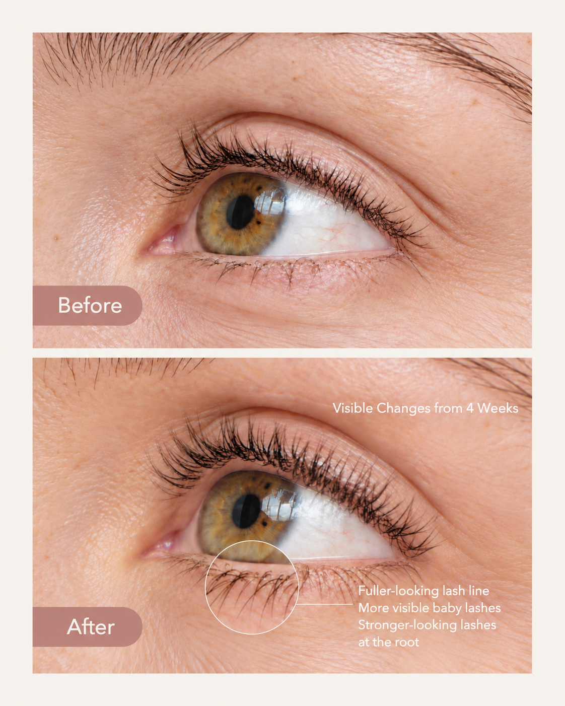 Beayl Lash Serum